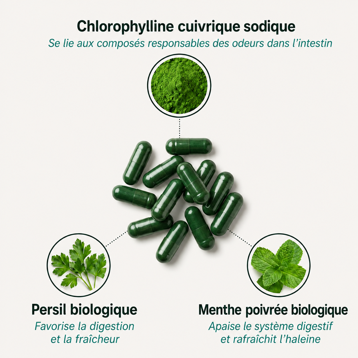 DEOS | Complément Anti-Odeur Naturel