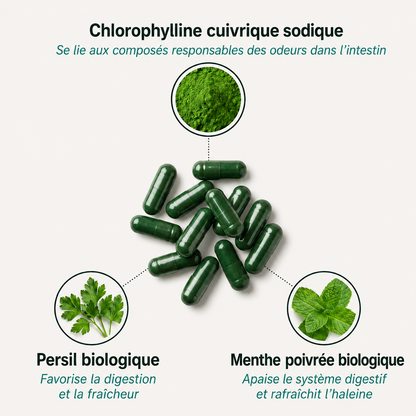 DEOS | Complément Anti-Odeur Naturel